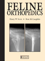 Feline orthopaedics
