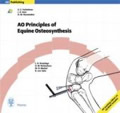 AO Principles of equine osteosynthesis